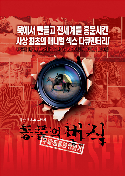 이미지를 클릭하면 원본 사이즈로 볼 수 있습니다.